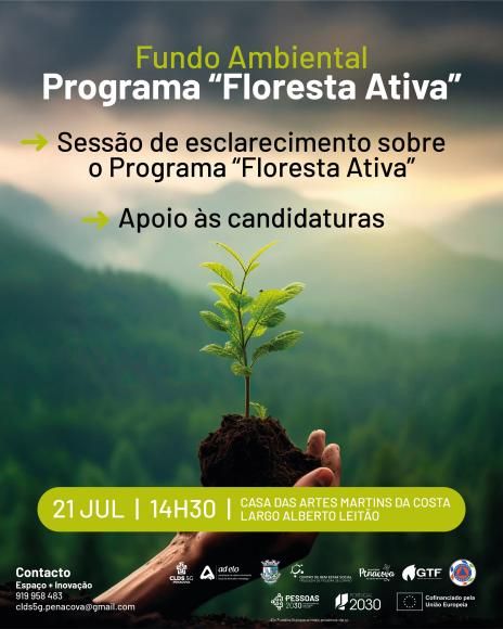 Sessão de esclarecimentos - programa Floresta Ativa